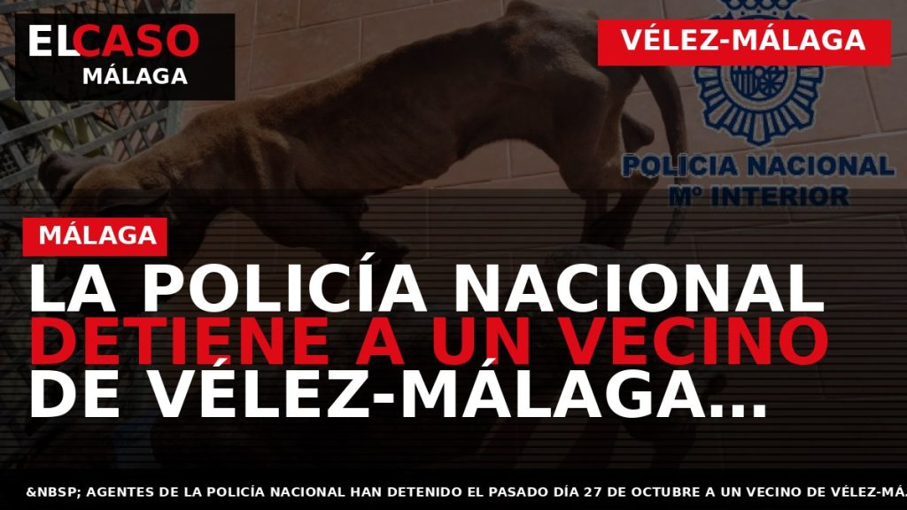 Portada El Caso Málaga: LA POLICÍA NACIONAL DETIENE A UN VECINO DE VÉLEZ-MÁLAGA POR MANTENER — VÉLEZ-MÁLAGA
