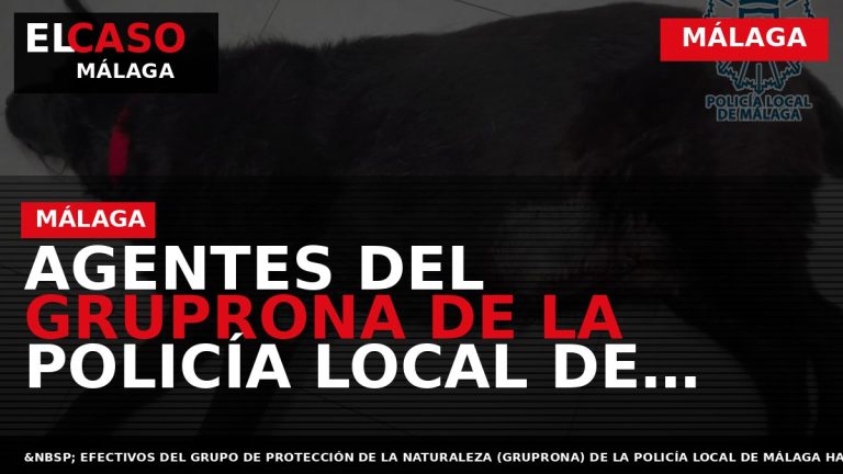 Portada El Caso Málaga: AGENTES DEL GRUPRONA DE LA POLICÍA LOCAL DE MÁLAGA LEEN LOS — MÁLAGA