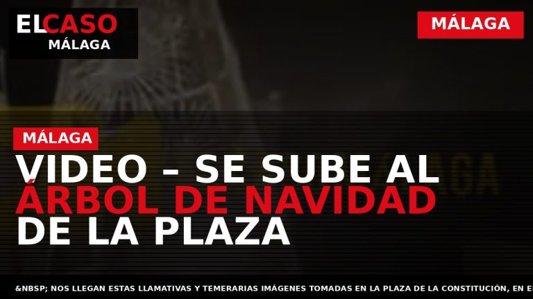 Portada El Caso Málaga: VIDEO – SE SUBE AL ÁRBOL DE NAVIDAD DE LA PLAZA — MÁLAGA