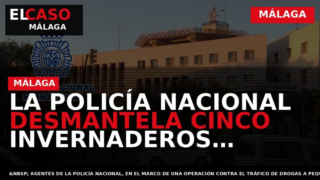 Portada El Caso Málaga: LA POLICÍA NACIONAL DESMANTELA CINCO INVERNADEROS “INDOOR” Y SE INCAUTA DE — MÁLAGA