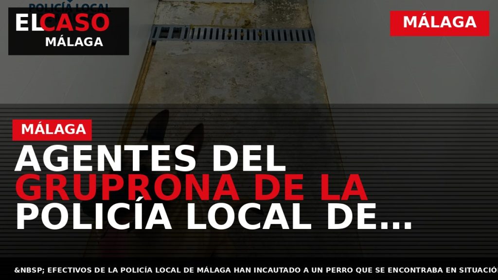 Portada El Caso Málaga: AGENTES DEL GRUPRONA DE LA POLICÍA LOCAL DE MÁLAGA INCAUTAN UN — MÁLAGA