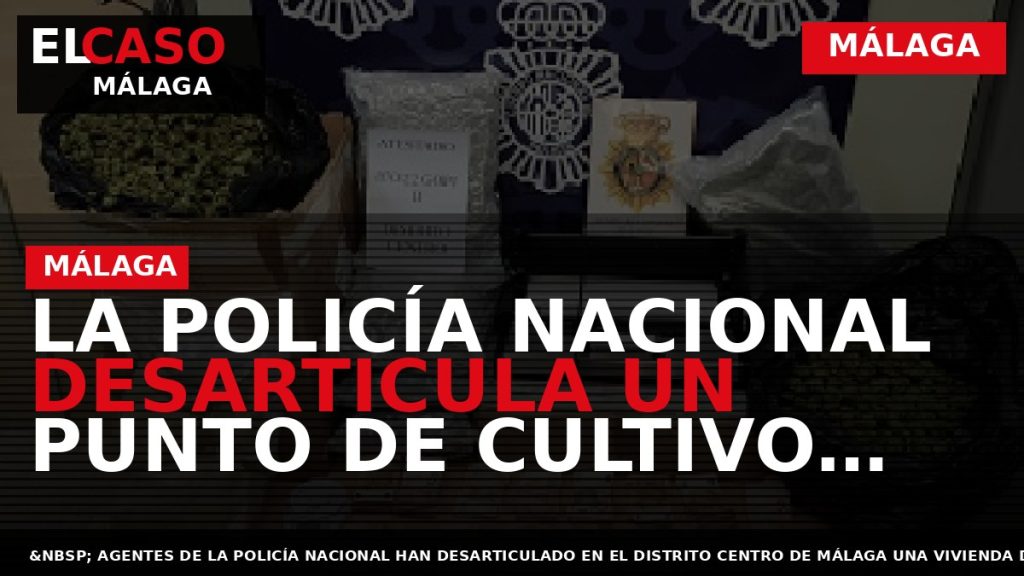 Portada El Caso Málaga: LA POLICÍA NACIONAL DESARTICULA UN PUNTO DE CULTIVO, ALMACENAJE Y DISTRIBUCIÓN — MÁLAGA