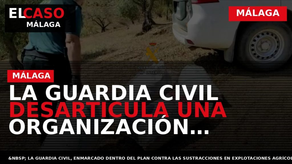 Portada El Caso Málaga: LA GUARDIA CIVIL DESARTICULA UNA ORGANIZACIÓN CRIMINAL DEDICADA A LA RECEPTACIÓN — MÁLAGA