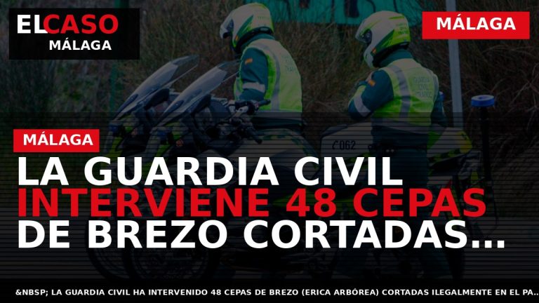 Portada El Caso Málaga: LA GUARDIA CIVIL INTERVIENE 48 CEPAS DE BREZO CORTADAS ILEGALMENTE EN — MÁLAGA