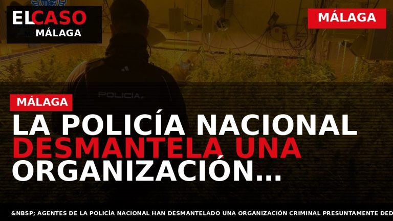 Portada El Caso Málaga: LA POLICÍA NACIONAL DESMANTELA UNA ORGANIZACIÓN CRIMINAL DEDICADA AL CULTIVO Y — MÁLAGA