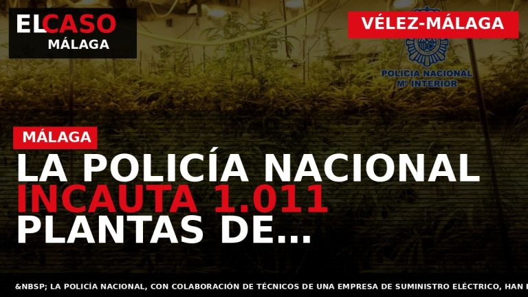 Portada El Caso Málaga: LA POLICÍA NACIONAL INCAUTA 1.011 PLANTAS DE MARIHUANA AL DESMANTELAR VARIOS — VÉLEZ-MÁLAGA