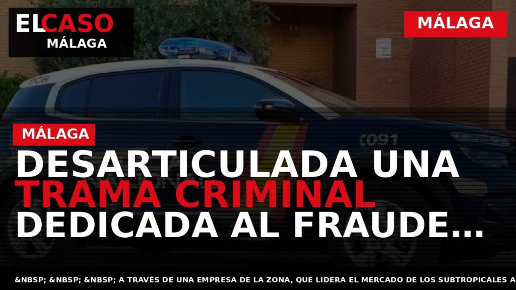 Portada El Caso Málaga: DESARTICULADA UNA TRAMA CRIMINAL DEDICADA AL FRAUDE FISCAL, LA FALSEDAD DOCUMENTAL — MÁLAGA