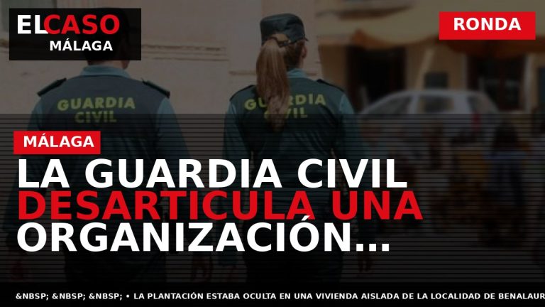 Portada El Caso Málaga: LA GUARDIA CIVIL DESARTICULA UNA ORGANIZACIÓN CRIMINAL DEDICADA AL CULTIVO INDOOR — RONDA