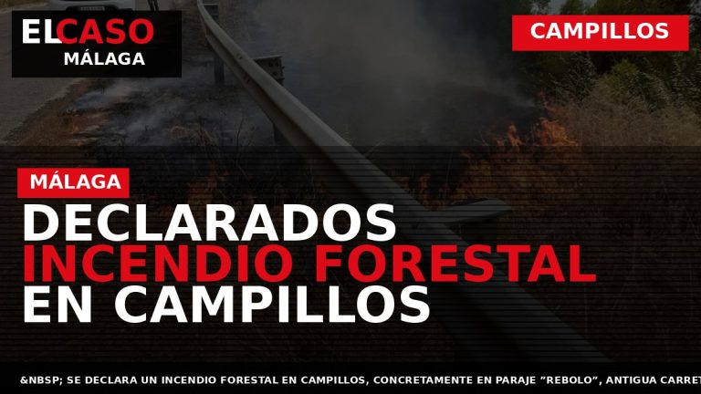 Portada El Caso Málaga: DECLARADOS INCENDIO FORESTAL EN CAMPILLOS — CAMPILLOS