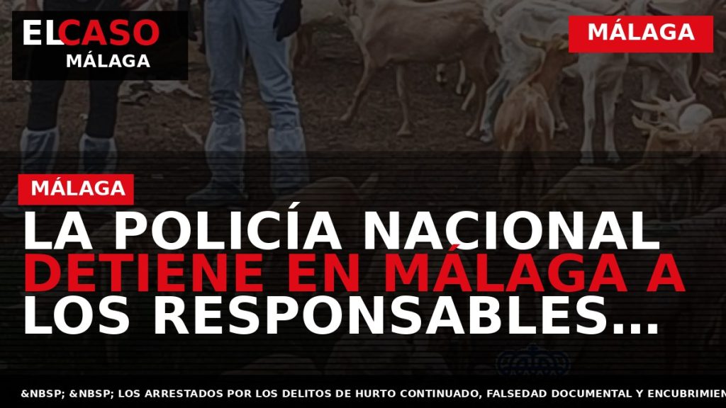 Portada El Caso Málaga: LA POLICÍA NACIONAL DETIENE EN MÁLAGA A LOS RESPONSABLES DE LA — MÁLAGA