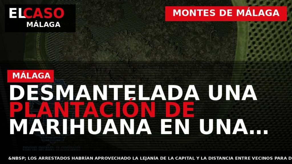 Portada El Caso Málaga: DESMANTELADA UNA PLANTACIÓN DE MARIHUANA EN UNA VIVIENDA EN LOS MONTES — MONTES DE MÁLAGA