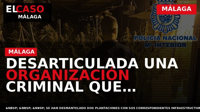 Portada El Caso Málaga: DESARTICULADA UNA ORGANIZACIÓN CRIMINAL QUE CULTIVABA, PROCESABA Y ENVIABA GRANDES CANTIDADES — MÁLAGA