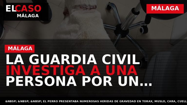 Portada El Caso Málaga: LA GUARDIA CIVIL INVESTIGA A UNA PERSONA POR UN DELITO DE — MÁLAGA