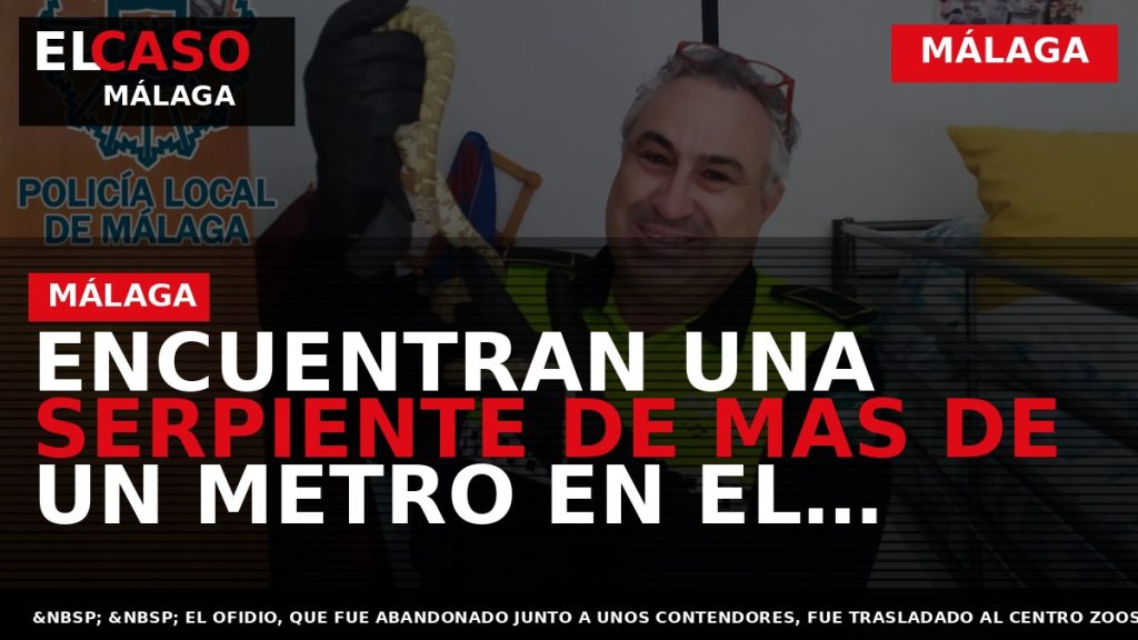 Portada El Caso Málaga: ENCUENTRAN UNA SERPIENTE DE MAS DE UN METRO EN EL DISTRITO — MÁLAGA