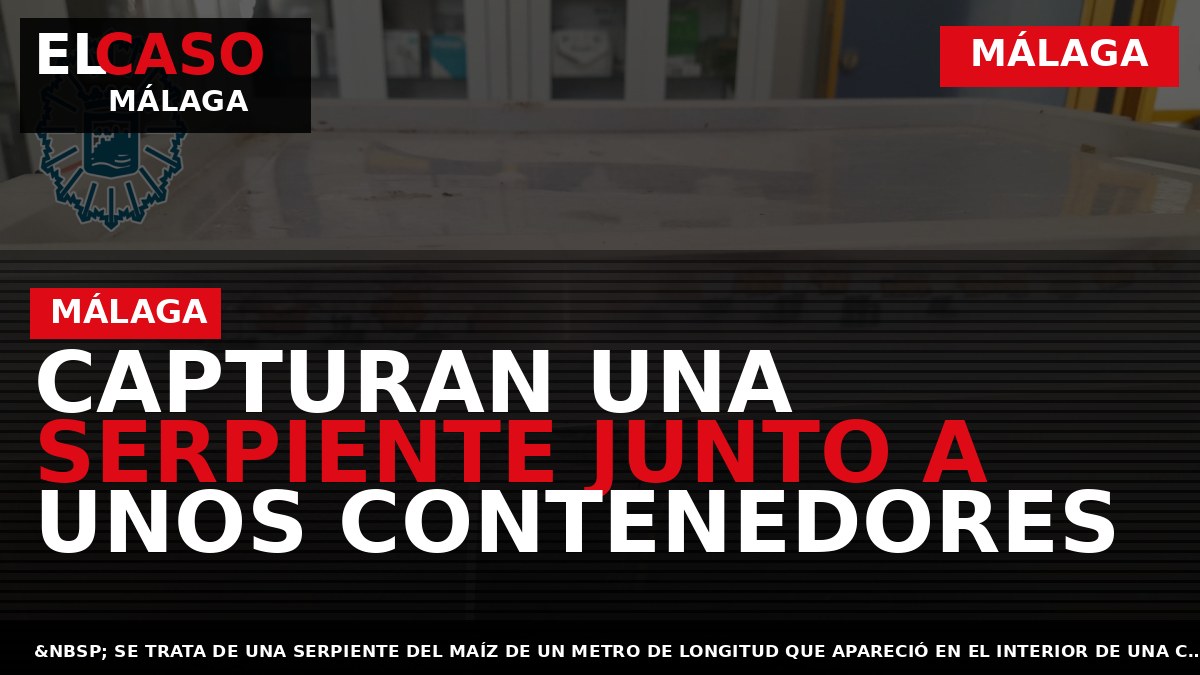 Portada El Caso Málaga: CAPTURAN UNA SERPIENTE JUNTO A UNOS CONTENEDORES — MÁLAGA