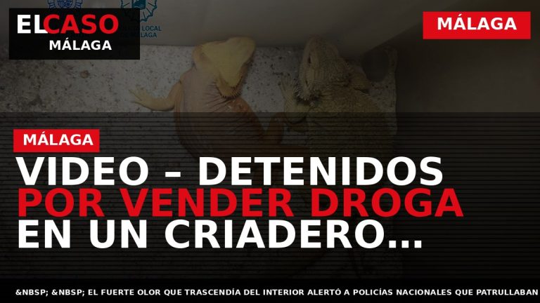 Portada El Caso Málaga: VIDEO – DETENIDOS POR VENDER DROGA EN UN CRIADERO ILEGAL DE — MÁLAGA