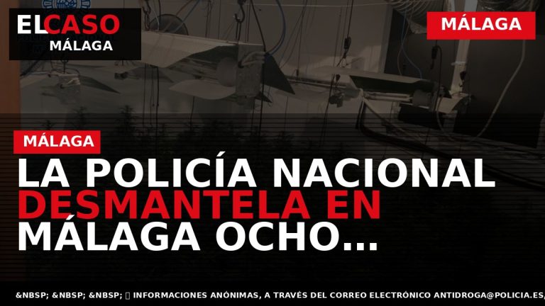 Portada El Caso Málaga: LA POLICÍA NACIONAL DESMANTELA EN MÁLAGA OCHO LABORATORIOS DE MARIHUANA EN — MÁLAGA