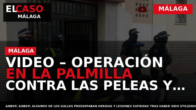 Portada El Caso Málaga: VIDEO – OPERACIÓN EN LA PALMILLA CONTRA LAS PELEAS Y CRÍA — MÁLAGA