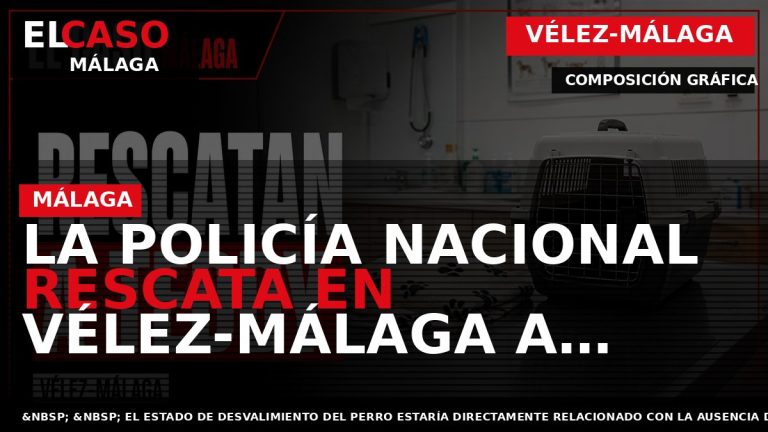 Portada El Caso Málaga: LA POLICÍA NACIONAL RESCATA EN VÉLEZ-MÁLAGA A TEDDY, UN CAN AQUEJADO — VÉLEZ-MÁLAGA