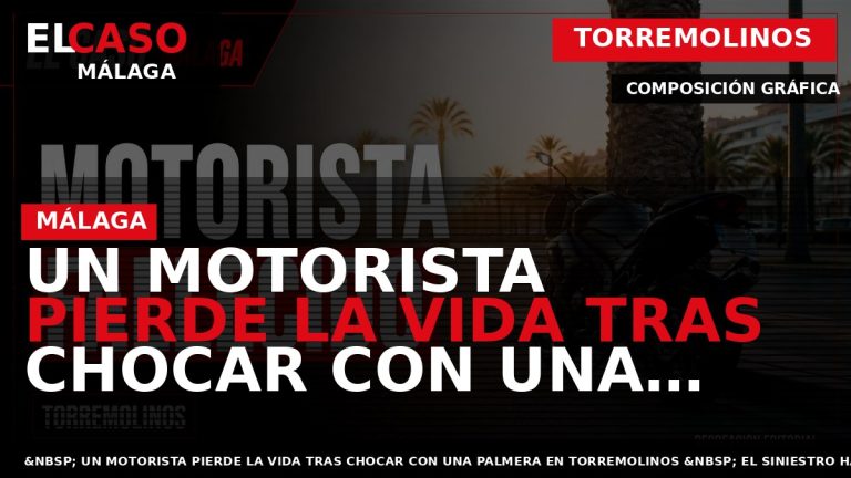 Portada El Caso Málaga: UN MOTORISTA PIERDE LA VIDA TRAS CHOCAR CON UNA PALMERA EN — TORREMOLINOS