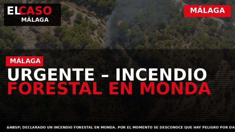 Portada El Caso Málaga: URGENTE – INCENDIO FORESTAL EN MONDA — MÁLAGA