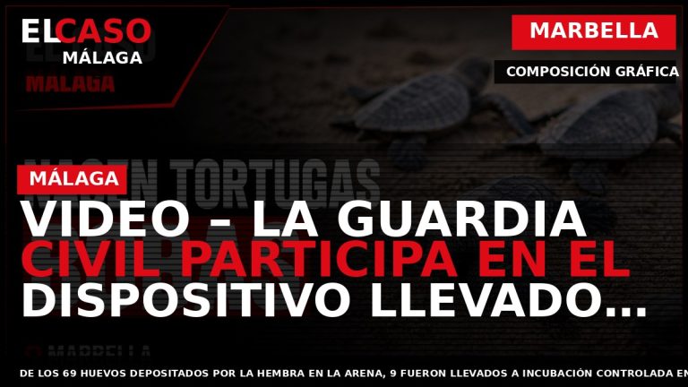 Portada El Caso Málaga: VIDEO – LA GUARDIA CIVIL PARTICIPA EN EL DISPOSITIVO LLEVADO A — MARBELLA