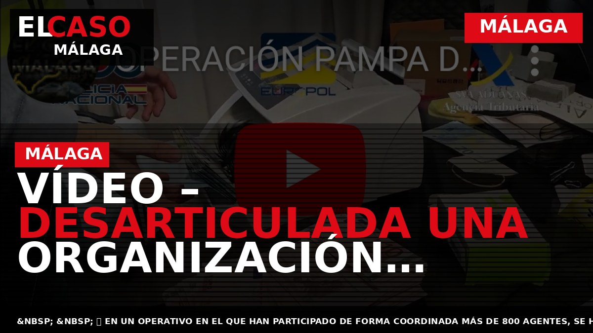 VÍDEO – Desarticulada una organización criminal dedicada al tráfico internacional de cocaína en contenedores de fruta