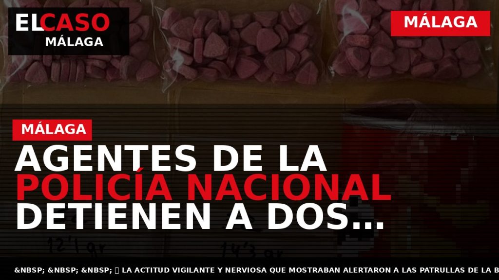 Portada El Caso Málaga: AGENTES DE LA POLICÍA NACIONAL DETIENEN A DOS PASAJEROS EN LA — MÁLAGA