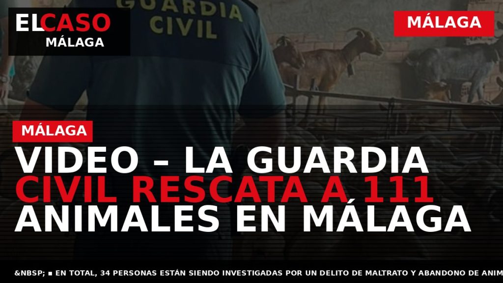 Portada El Caso Málaga: VIDEO – LA GUARDIA CIVIL RESCATA A 111 ANIMALES EN MÁLAGA — MÁLAGA