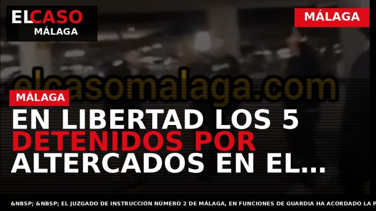 Portada El Caso Málaga: EN LIBERTAD LOS 5 DETENIDOS POR ALTERCADOS EN EL AEROPUERTO DE — MÁLAGA