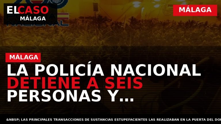 Portada El Caso Málaga: LA POLICÍA NACIONAL DETIENE A SEIS PERSONAS Y DESARTICULA DOS PUNTOS — MÁLAGA