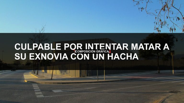 Culpable por intentar matar a su exnovia con un hacha en Torremolinos — portada de Tribunales de El Caso Málaga