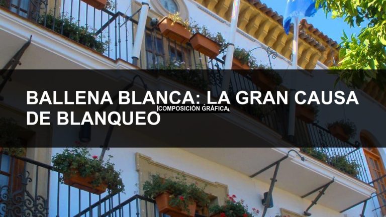 Ballena Blanca: la gran causa de blanqueo en Marbella — portada de Tribunales de El Caso Málaga