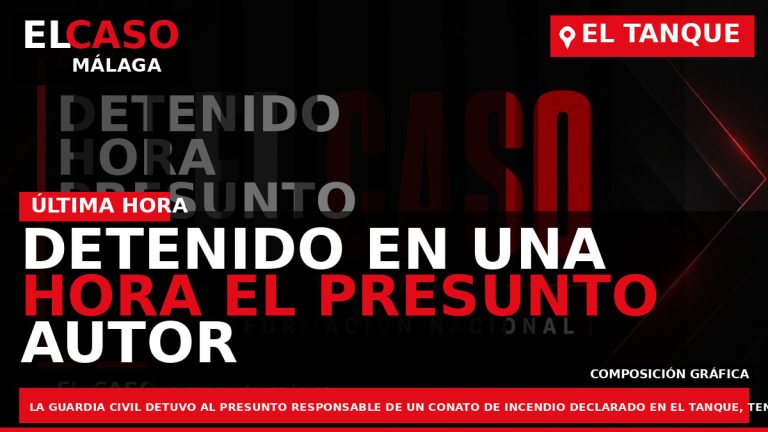 Portada El Caso Málaga: DETENIDO EN UNA HORA EL PRESUNTO AUTOR DE UN CONATO DE — CANARIAS