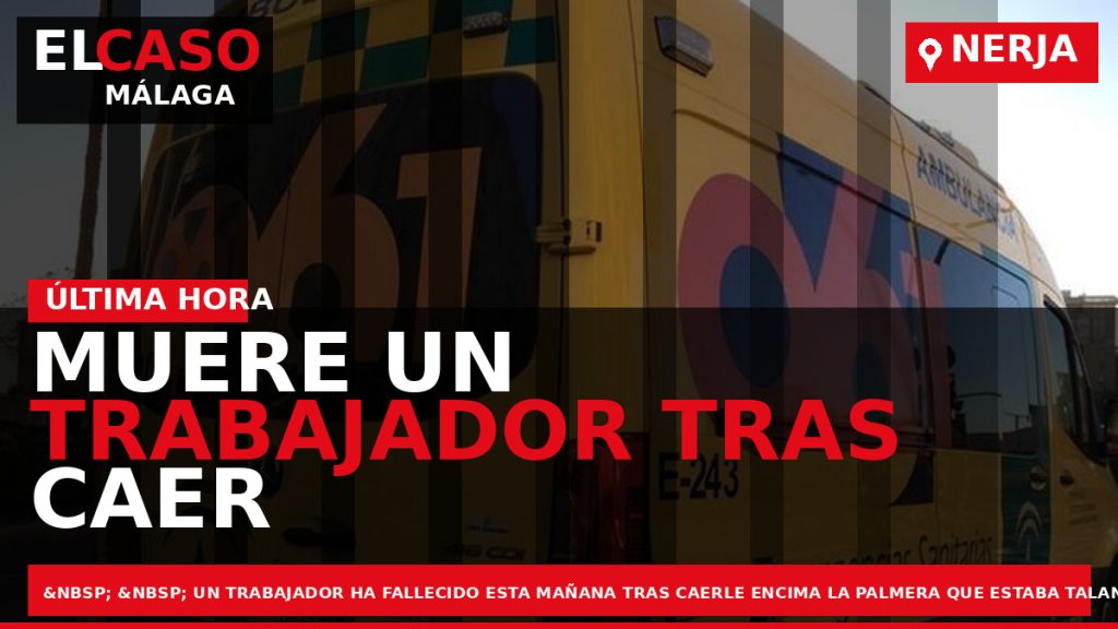 Portada El Caso Málaga: MUERE UN TRABAJADOR TRAS CAER SOBRE ÉL LA PALMERA QUE TALABA — NERJA