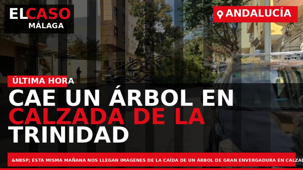 Portada El Caso Málaga: CAE UN ÁRBOL EN CALZADA DE LA TRINIDAD — ANDALUCÍA