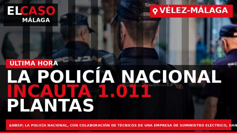 Portada El Caso Málaga: LA POLICÍA NACIONAL INCAUTA 1.011 PLANTAS DE MARIHUANA AL DESMANTELAR VARIOS — VÉLEZ-MÁLAGA