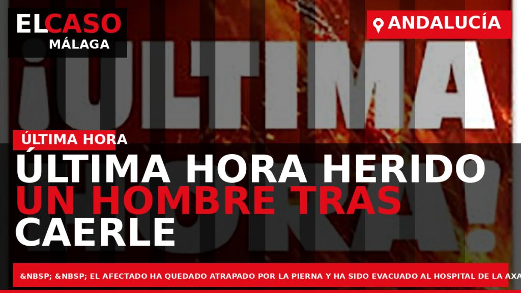 Portada El Caso Málaga: ÚLTIMA HORA HERIDO UN HOMBRE TRAS CAERLE UN ÁRBOL ENCIMA — ANDALUCÍA