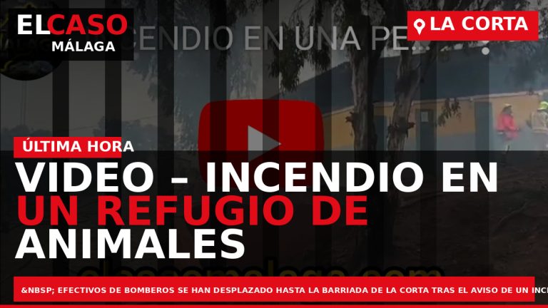 Portada El Caso Málaga: VIDEO – INCENDIO EN UN REFUGIO DE ANIMALES EN LA CORTA — ANDALUCÍA
