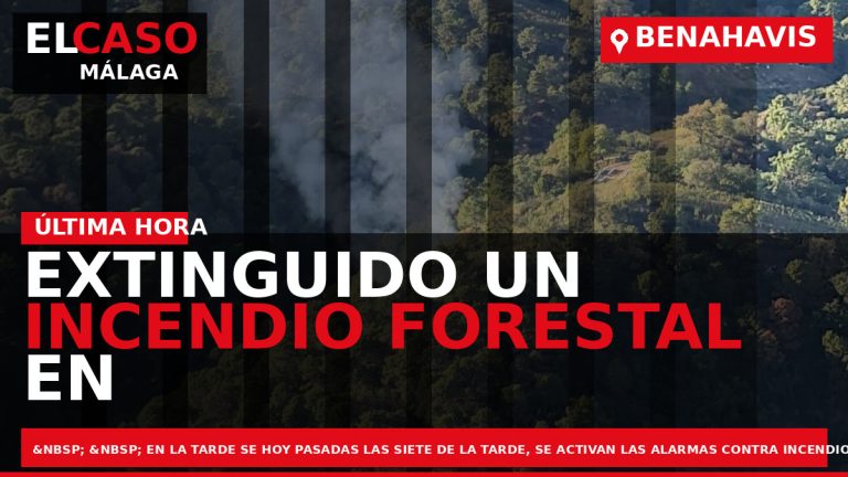 Portada El Caso Málaga: EXTINGUIDO UN INCENDIO FORESTAL EN BENAHAVIS — ANDALUCÍA