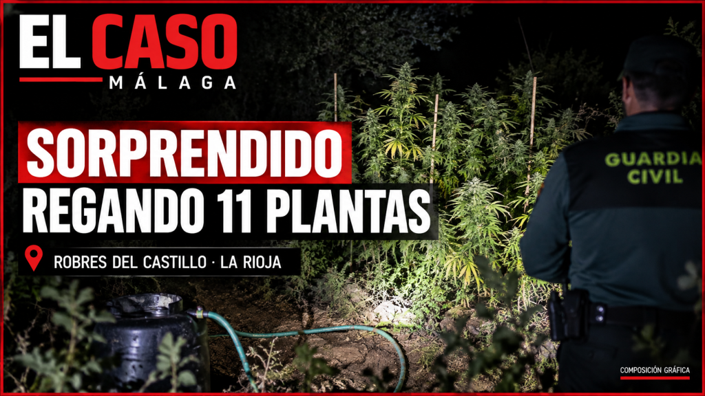 Detenido en Robres del Castillo cuando regaba una plantación de marihuana oculta entre la vegetación