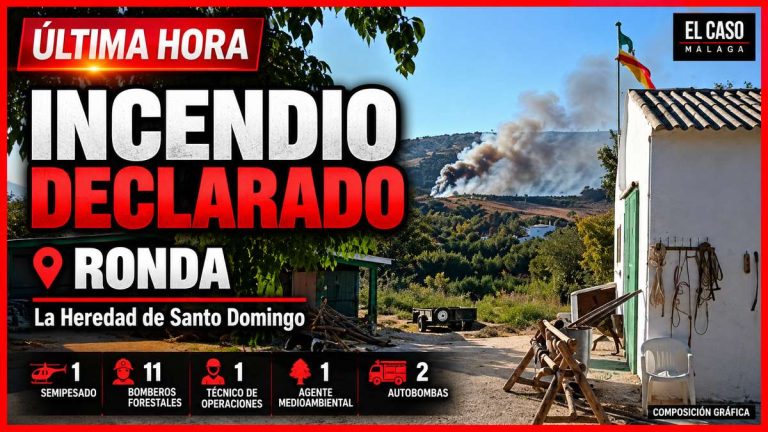 Incendio forestal declarado en La Heredad de Santo Domingo, en Ronda, con despliegue de INFOCA