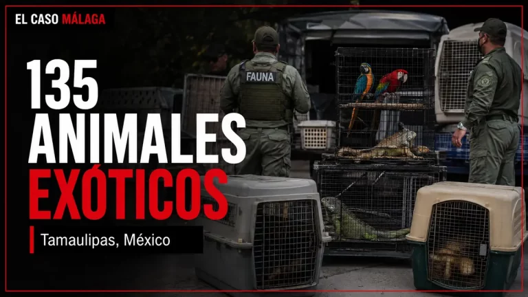 135 ANIMALES EXÓTICOS — Tamaulipas, México