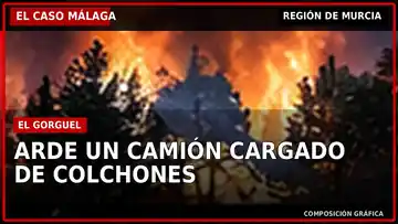 El Caso Málaga: Incendio destruye un camión en una planta de El Gorguel