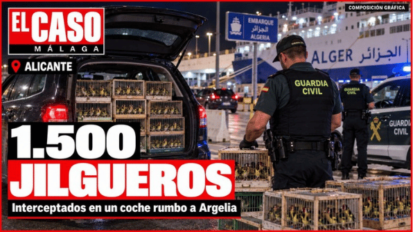 Portada de El Caso Málaga sobre 1.500 jilgueros interceptados en un coche en el puerto de Alicante.