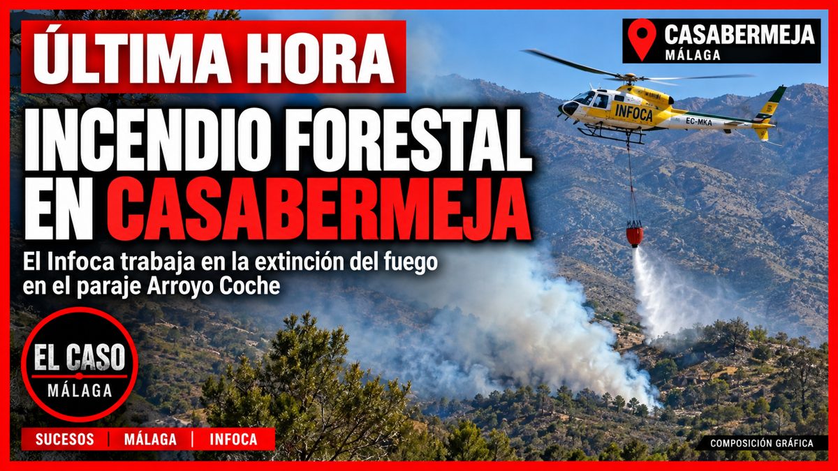 Última hora: estabilizado el incendio forestal de Arroyo Coche, en Casabermeja
