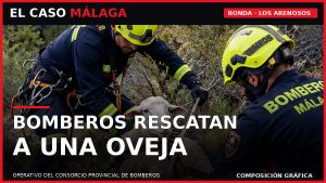 ECM_portada_rescate_oveja_ronda_1200x675