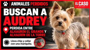 file_000000000ce48210a78aaa5c7567a0e0