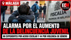 portada_3_malaga_delincuencia_juvenil_ECM