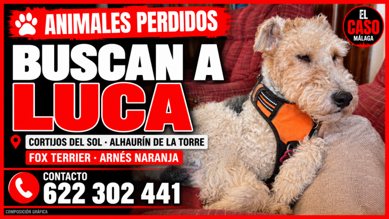 portada_luca_el_caso_malaga